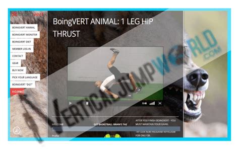 boingvert animal|BoingVert Review 2023: Vertical Jump Training Program.